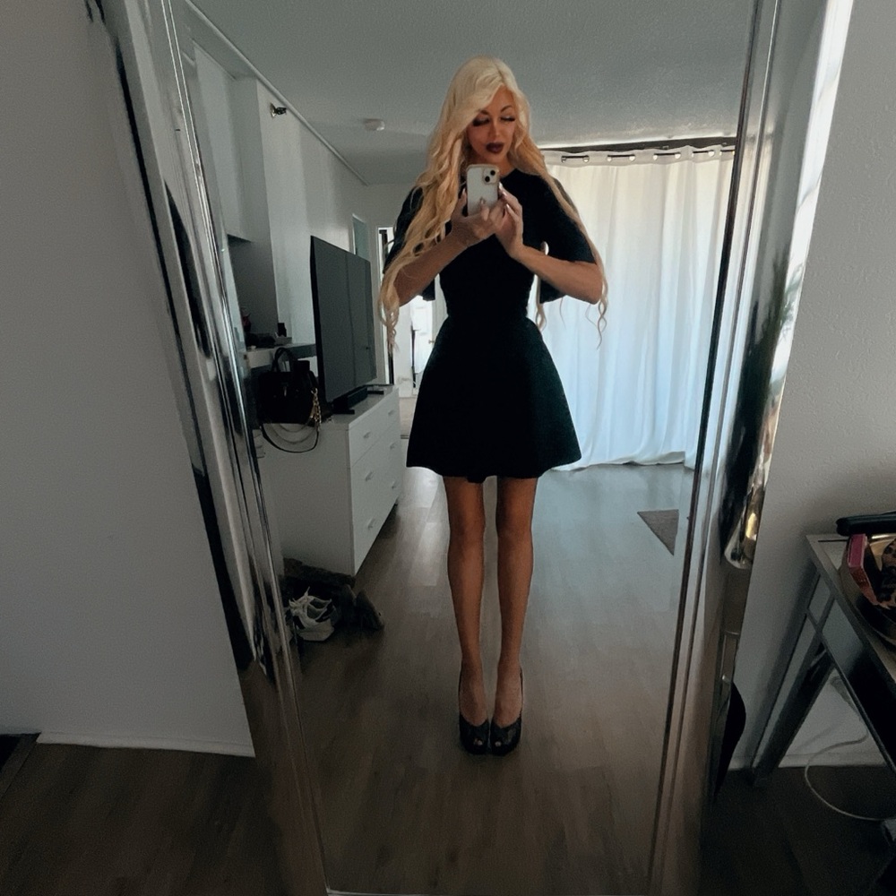 Ted Baker Black Fit and Flare Mini Dress